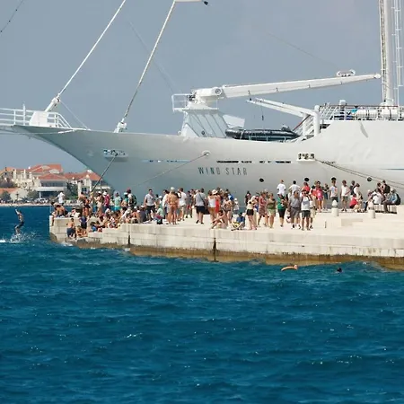 Apartamento Pet Friendly In With Kitchen *